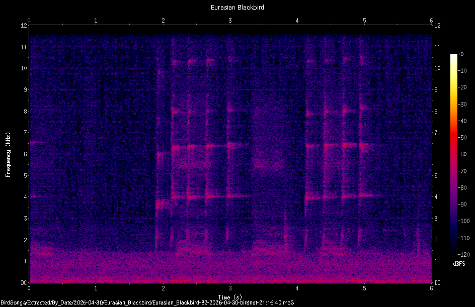 Spectrogram