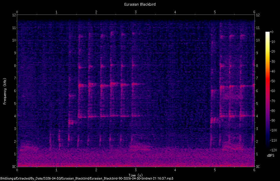 Spectrogram