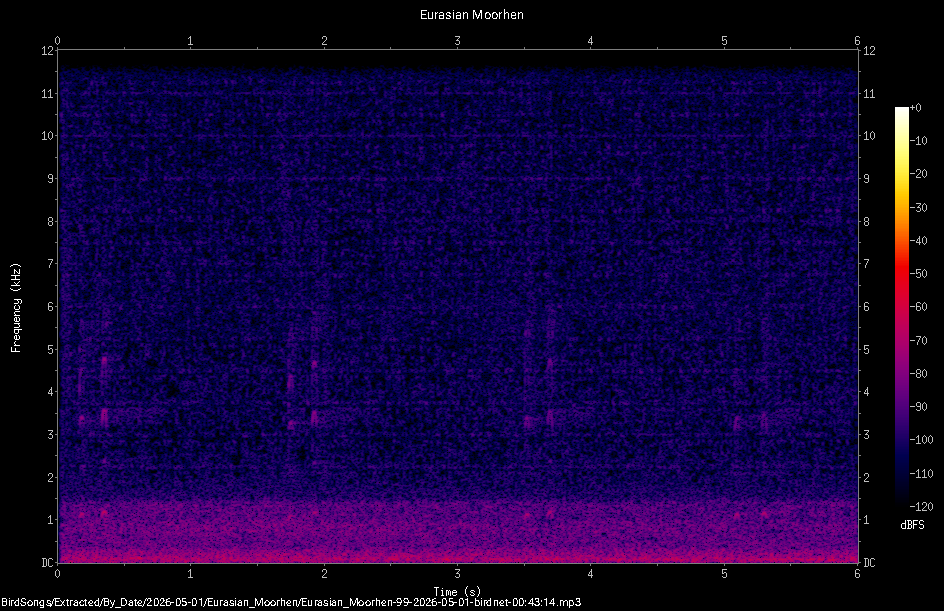 Spectrogram