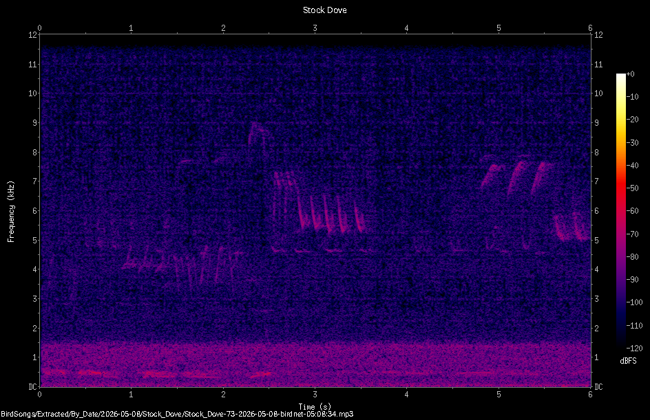 Spectrogram