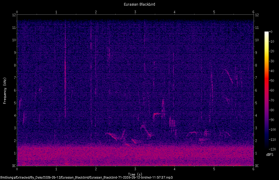 Spectrogram
