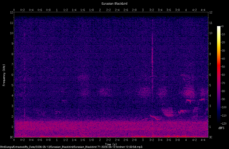 Spectrogram