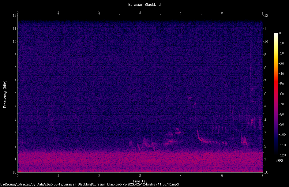 Spectrogram