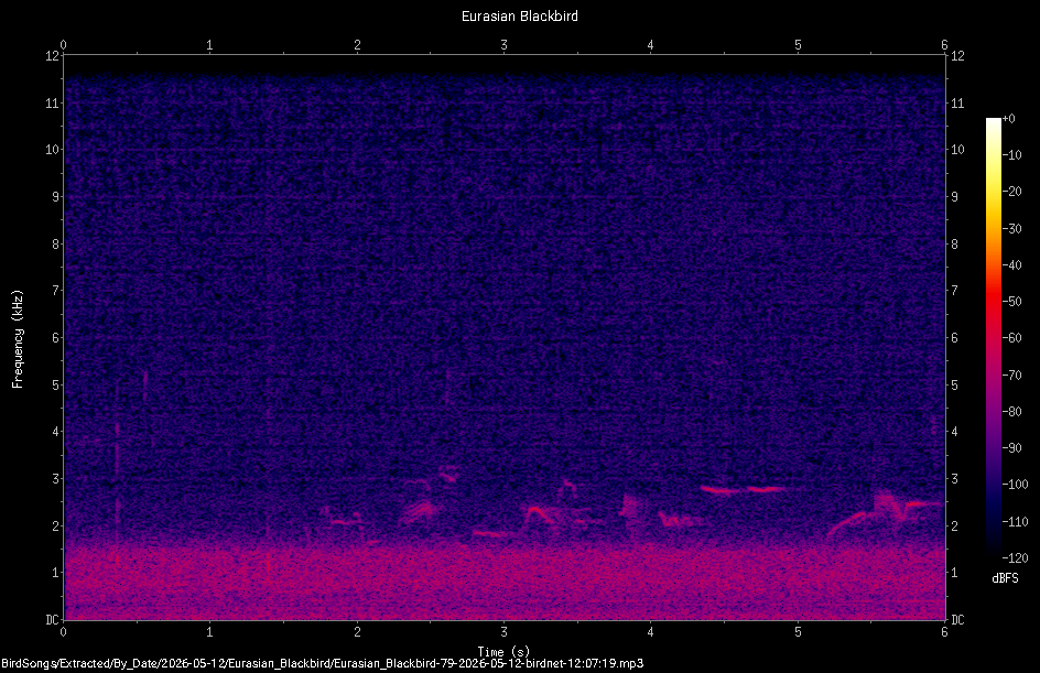 Spectrogram