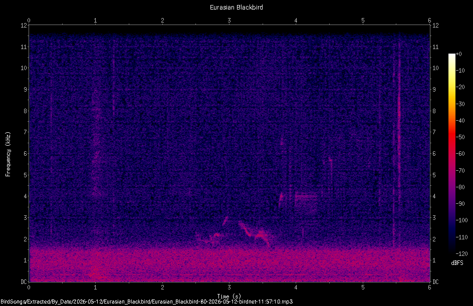 Spectrogram