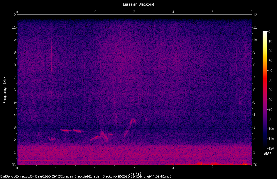Spectrogram