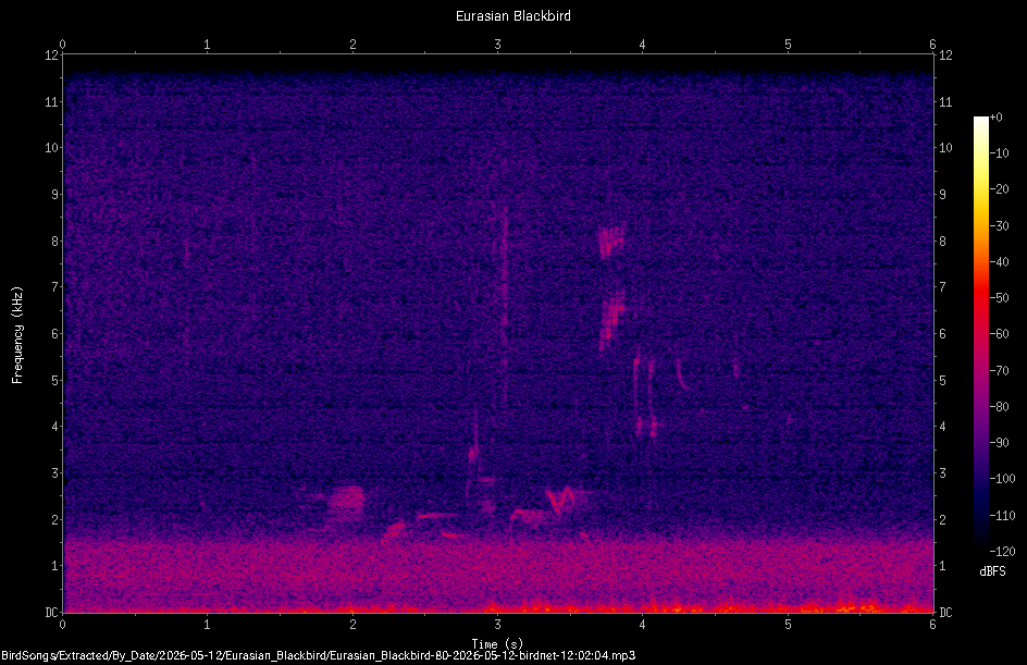 Spectrogram