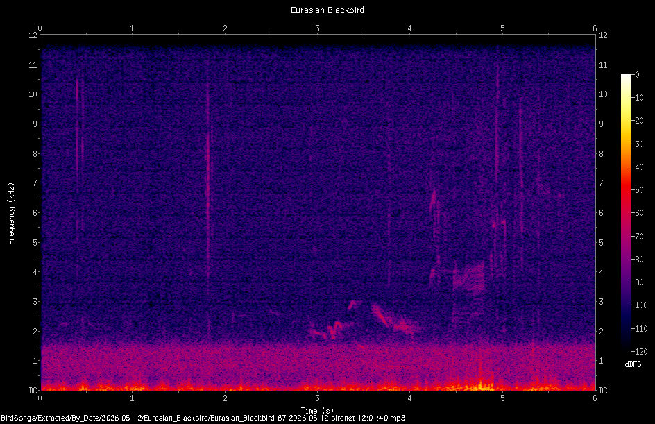Spectrogram