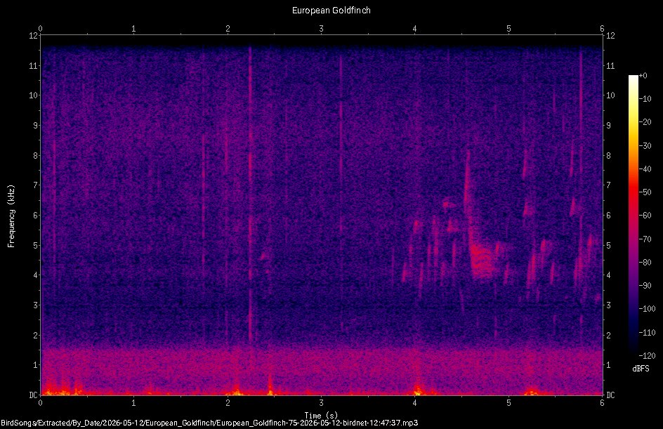 Spectrogram