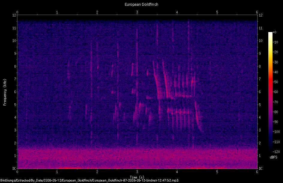Spectrogram