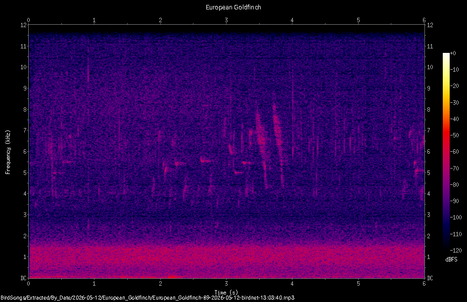 Spectrogram