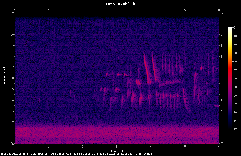 Spectrogram