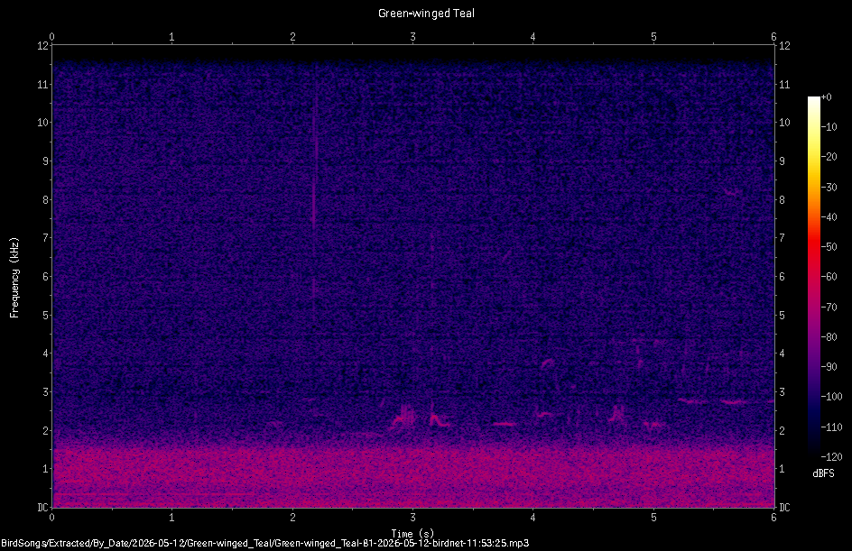 Spectrogram
