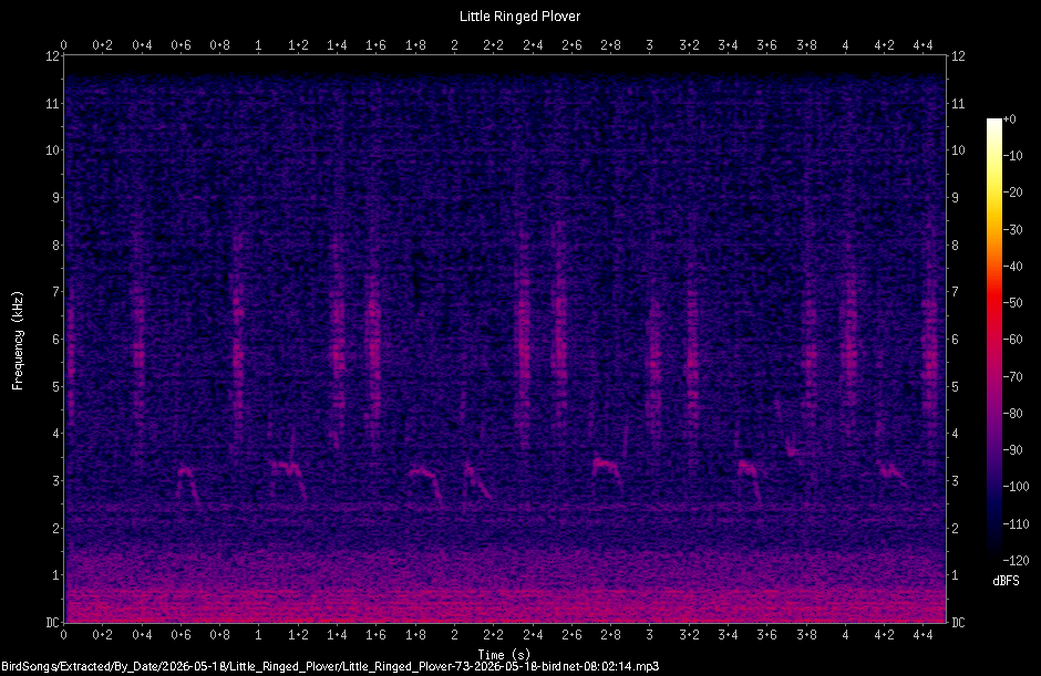 Spectrogram