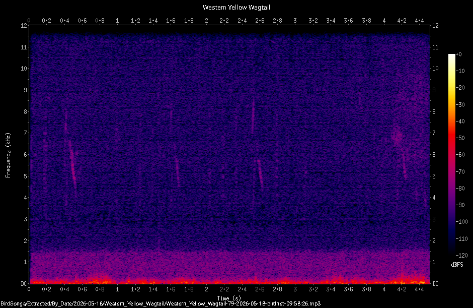Spectrogram
