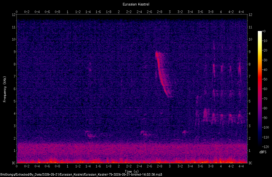 Spectrogram