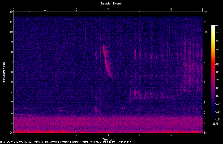 Spectrogram