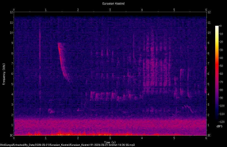 Spectrogram