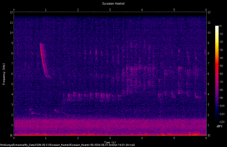 Spectrogram