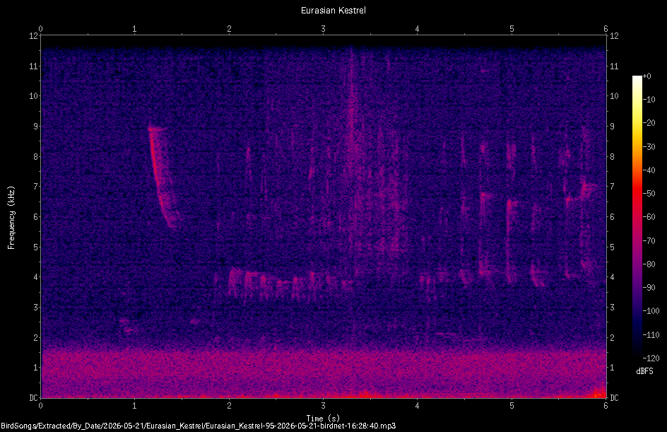 Spectrogram