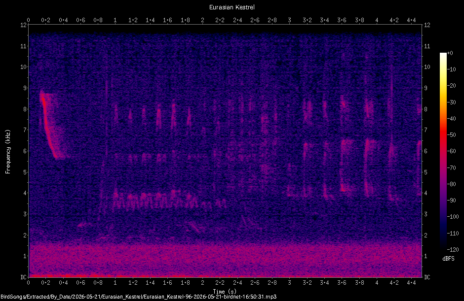 Spectrogram