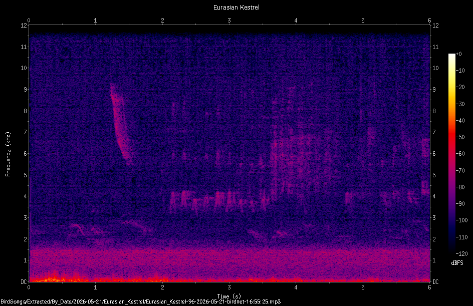 Spectrogram