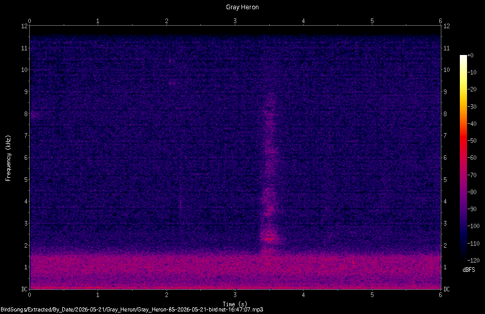 Spectrogram