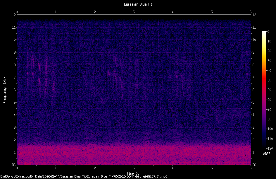 Spectrogram