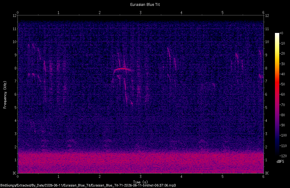 Spectrogram