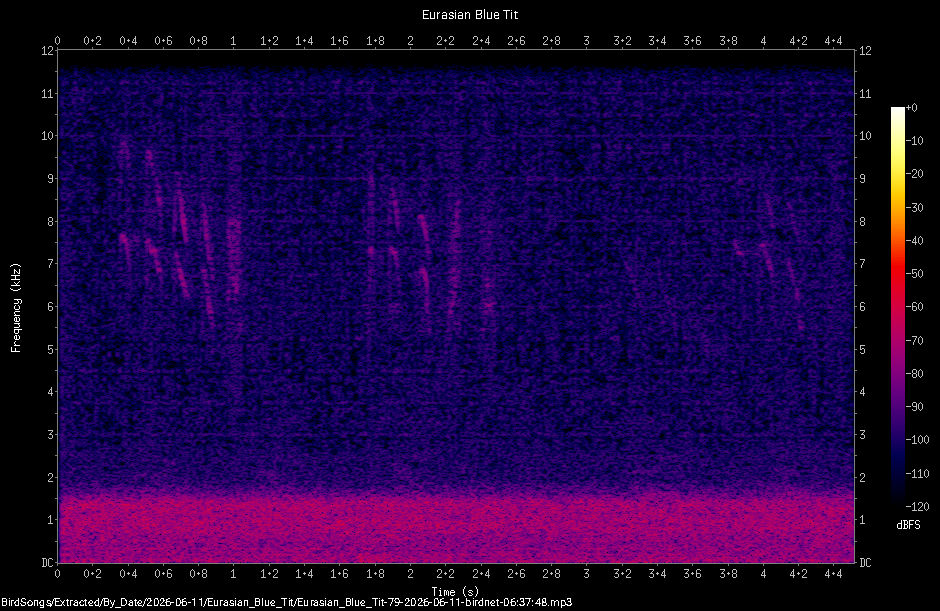 Spectrogram