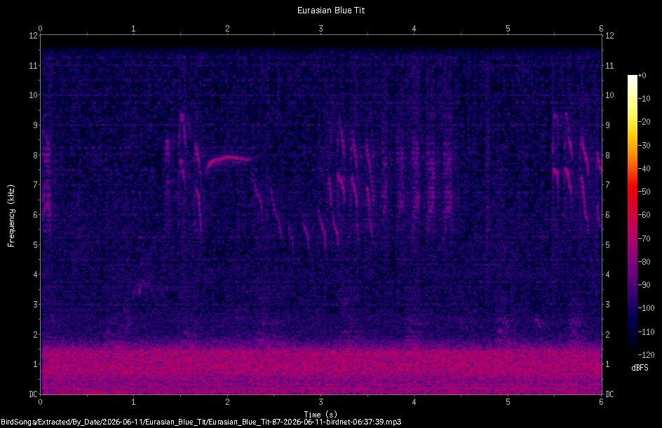 Spectrogram