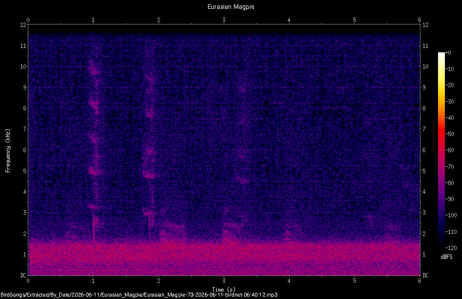 Spectrogram