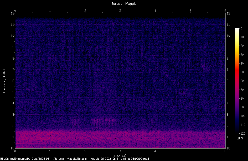Spectrogram