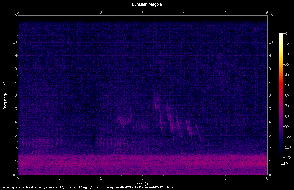Spectrogram