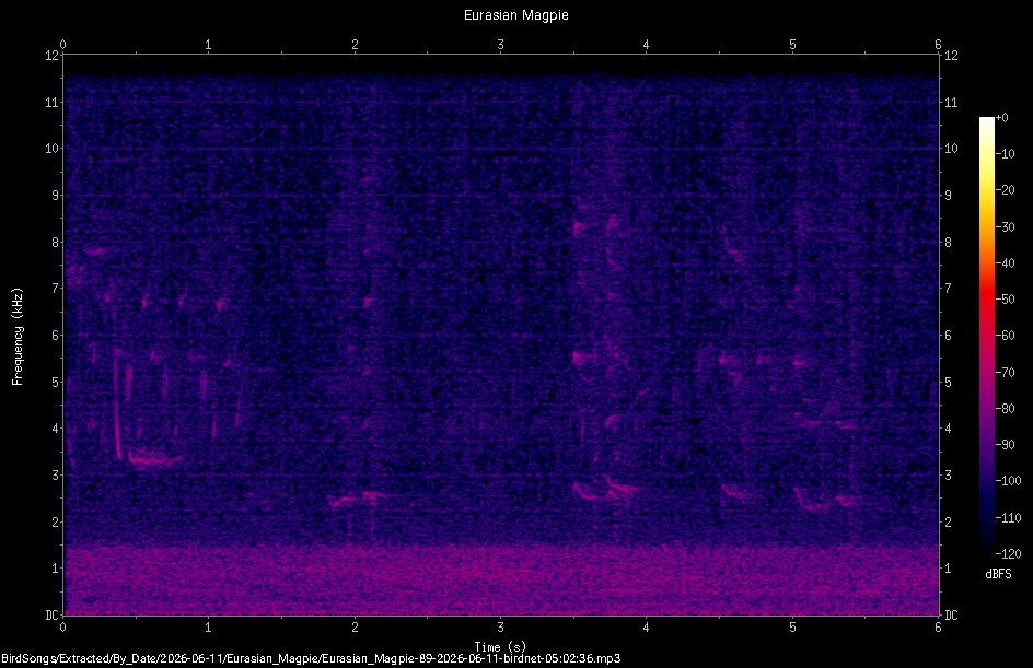 Spectrogram