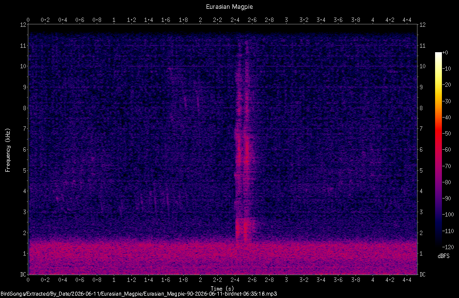 Spectrogram