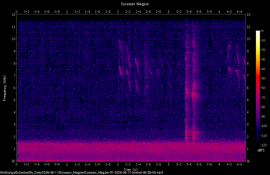 Spectrogram