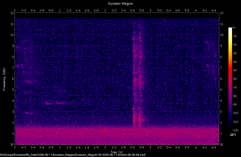 Spectrogram