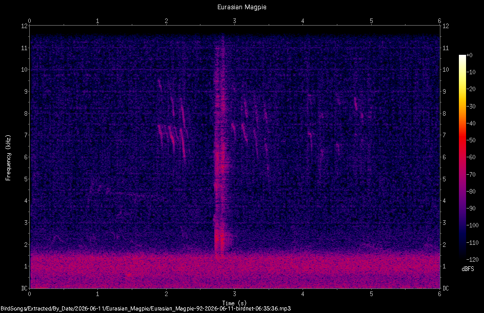 Spectrogram