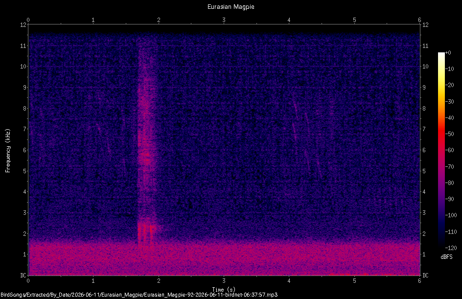 Spectrogram