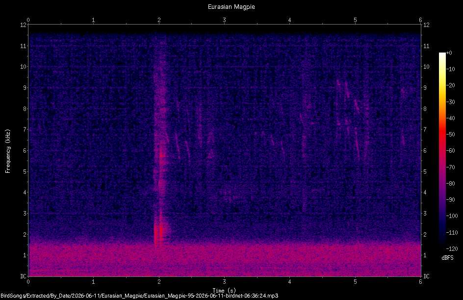 Spectrogram