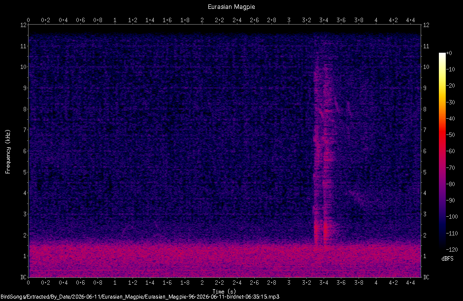 Spectrogram