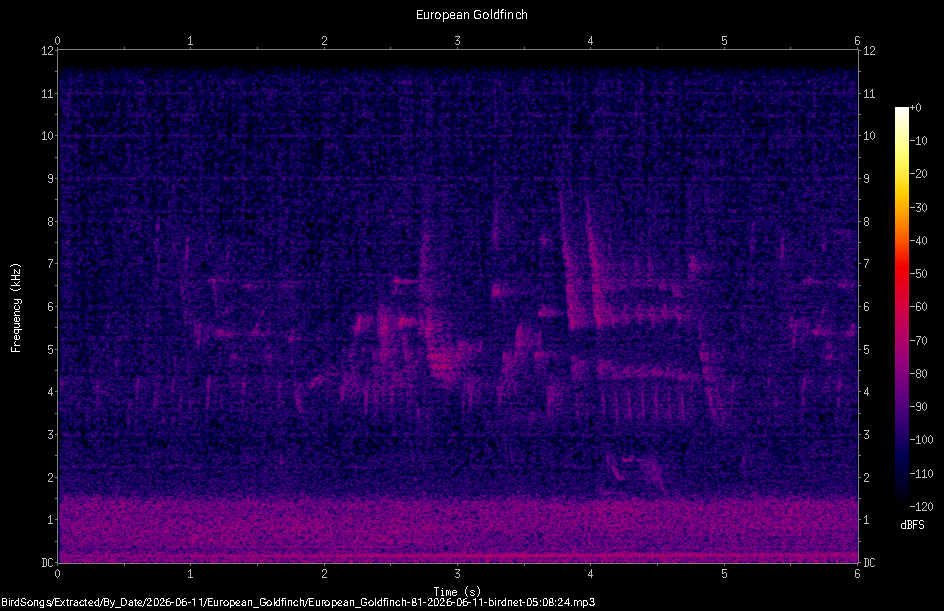 Spectrogram