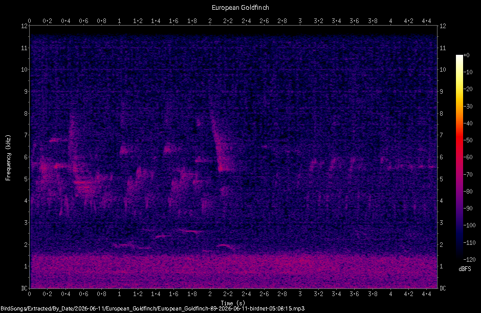 Spectrogram