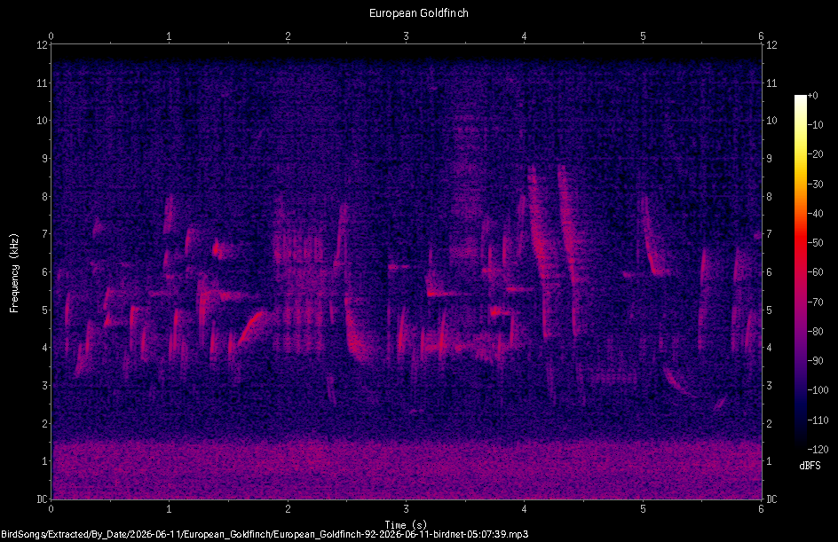 Spectrogram