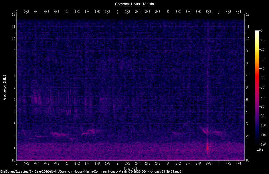Spectrogram
