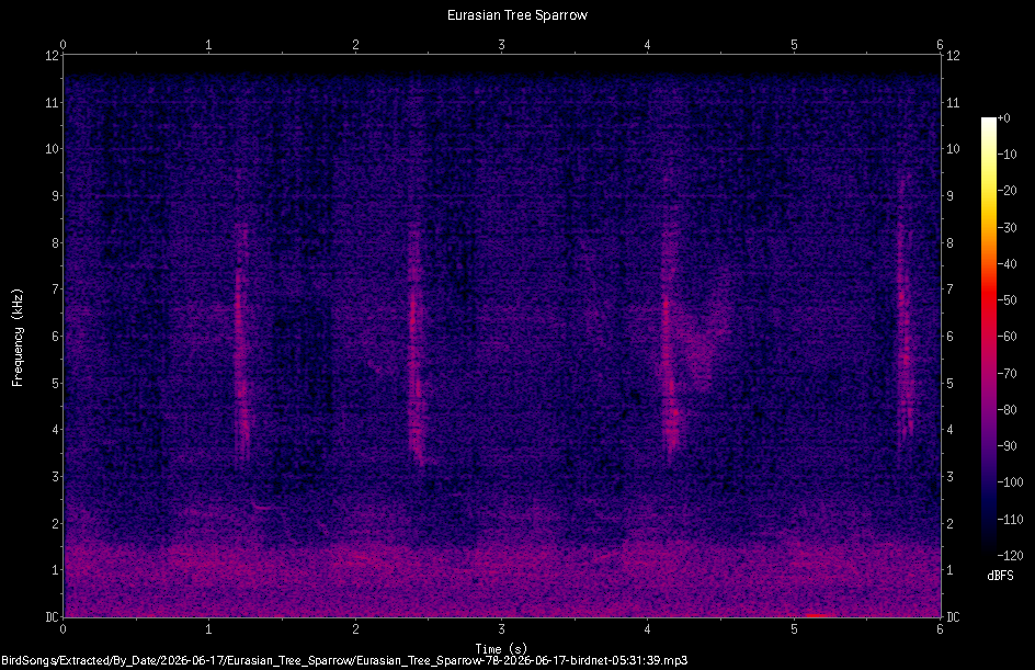Spectrogram