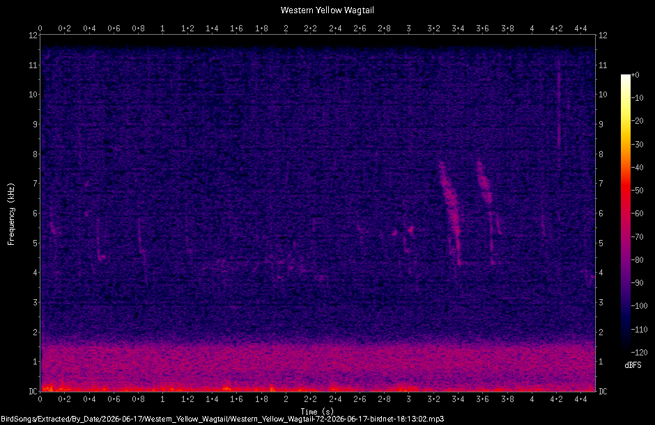 Spectrogram