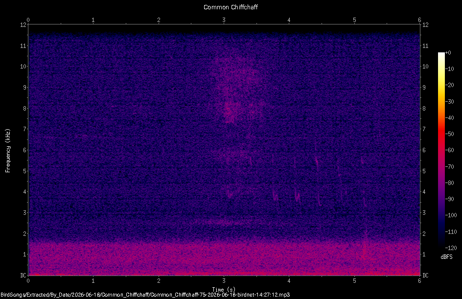Spectrogram