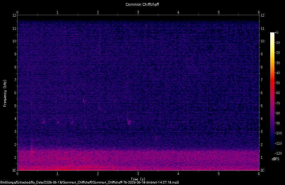 Spectrogram